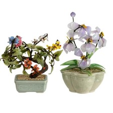 Pair of Chinese Bonsai Jade Tree in Celadon Pots