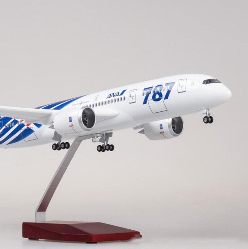 Extra Large ANA Boeing 787 Resin & ABS Aircraft Model Plane Gift - 1/130 Scale