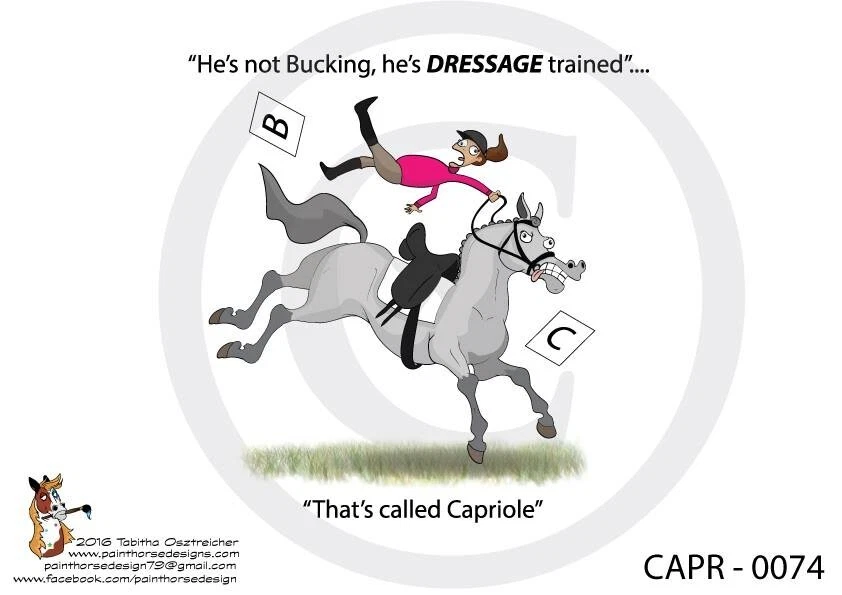 Dressage Horse Cartoon Gift Mug - choice of 4 designs - FREE POSTAGE - image 2 of 3