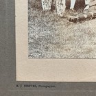 Picture 8 of 24