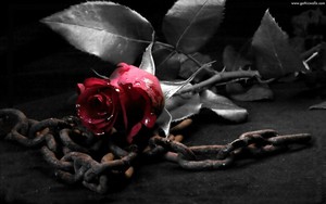 Framed Print Gothic Red Rose Laying On A Old Dirty Chain Picture Poster Art Ebay