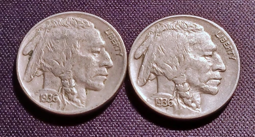 Lot of (2) High-grade 1936-P Buffalo Nickels