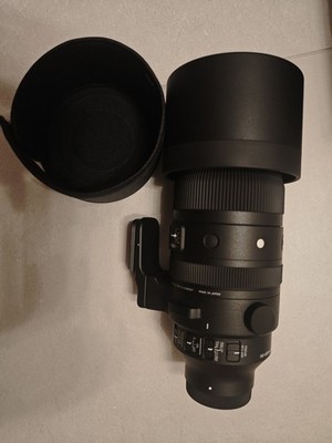 Sigma 150-600mm F5-6.3 DG DN OS Zoomobjektiv - Sony E-Mount
