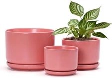 Ton Sin Plant Pots, 4.1+5.1+6.5 inch, Set of 3, Ceramic Planters Matte Orange 