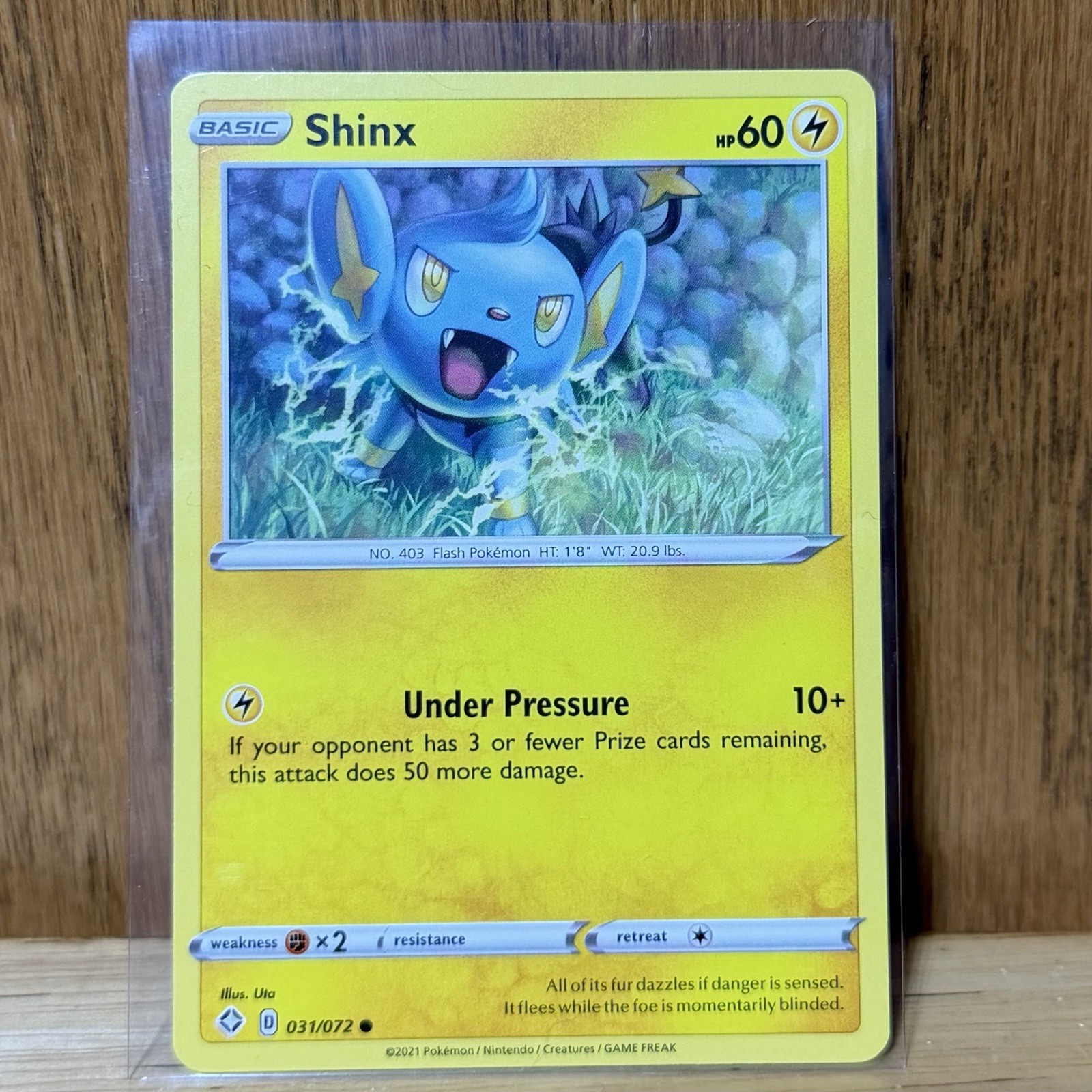 Pokemon Shinx Shining Fates Sword & Shield Common Base Card 031/072 2021