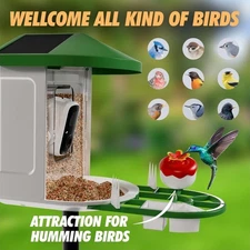 Smart Feeder with Camera, Dual Solar Panels Feeder Camera AI Identifies 11000+