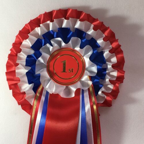 Rosette award ribbon X Large  4 tier.  Box pleat  Custom centre & personalised - Picture 1 of 8