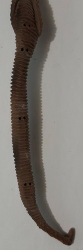 Marvel Legends Brood Queen BAF Front Left Leg - Picture 6 of 7