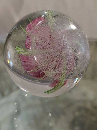 CAITHNESS PAPERWEIGHT MEY ROSE - Picture 9 of 10