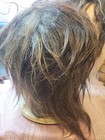 Bild 4 von 10