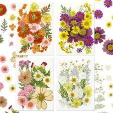 81 Pcs Dried Pressed Flowers for Resin, Real Pressed Flowers Dry Leaves Bulk ...