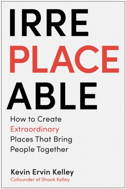 Irreplaceable: How to Create Extraordinary Places that Bring People Together - Image 4