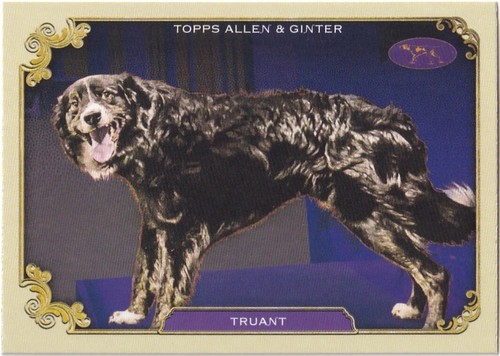 2024 Topps Allen & Ginter Stars of the Show Insert Set Singles - Bild 3 von 42