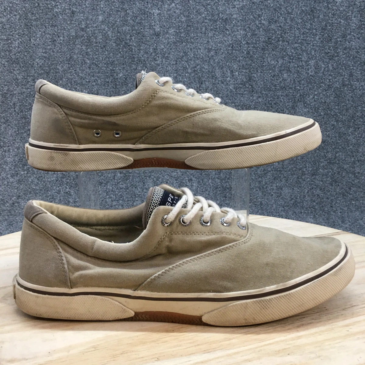 Sperry sneakers hotsell