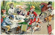 Mainzer - Eugen Hartung Cats Postcard 4961 - Alfresco Dining - Belgium Printing