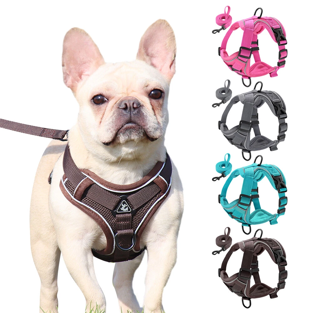 Small Dog Harness French Bulldog Harness Puppy Small Dogs Harnesses Vest  for Chihuahua Yorkshire Walking Training