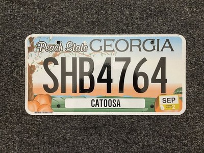 Nummernschild Amerika American USA Georgia 2020 original gebraucht SHB 4764