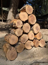 10 LBS Apple Wood Logs 3~5 1/2”L For Smoking Organic 2 1/2"~4"D BBQ Fire Grill