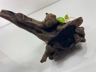 Bild 5 von 6