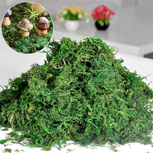 Accessories Dry Moss Lichen Artificial Moss Artificial Plant Fake Green Plants - Picture 2 of 8