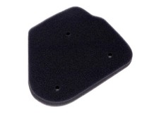 PGO T-Rex 50 Air Filter Foam