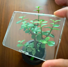 Cassette Door Lid Cover For Sony WM-EX530/EX610/EX615/EX621/EX631/EX600/EX670