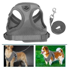 Pet And Set Adjustable Soft Mesh Vest For Small Cats And Dogs