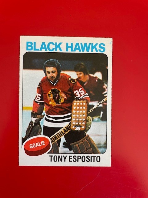 1975-76 O-Pee-Chee Set Break OPC #240 Tony Esposito - Chicago Blackhawks MINT