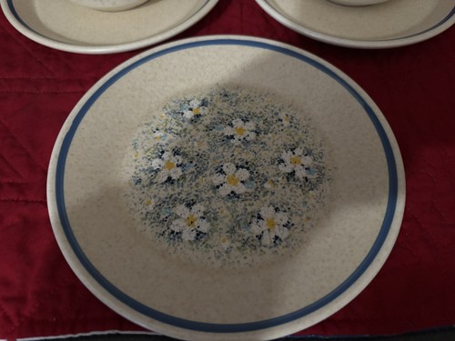 ~Vtg Lenox Temper-Ware Dewdrops Cups/Saucers Floral Blue & One salad plate~ - Picture 2 of 8