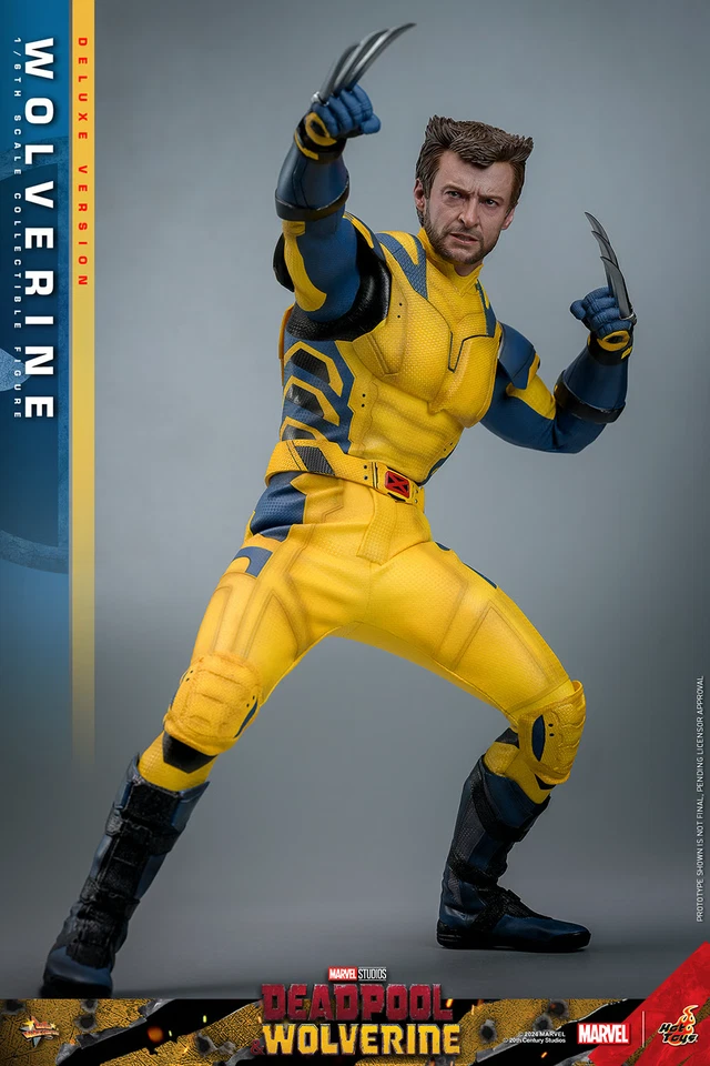 Wolverine Deluxe Edition 1/6 scale 12" Figure Hot Toys 9134872 MMS754 Marvel - Image 4 of 4