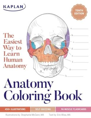 #ad Anatomy Coloring Book with 450 Paperback VERY GOOD $18.36