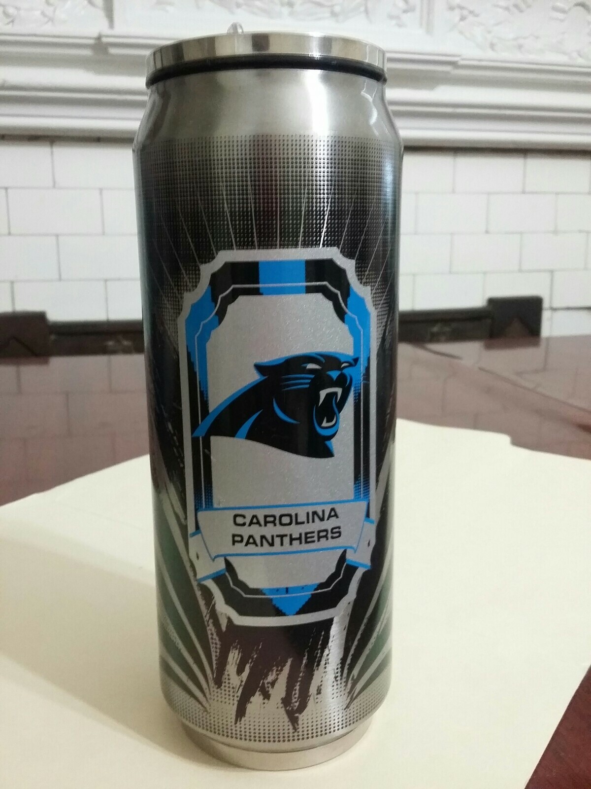 California Panters  Thermocan Duck House Sports NFL Brand New