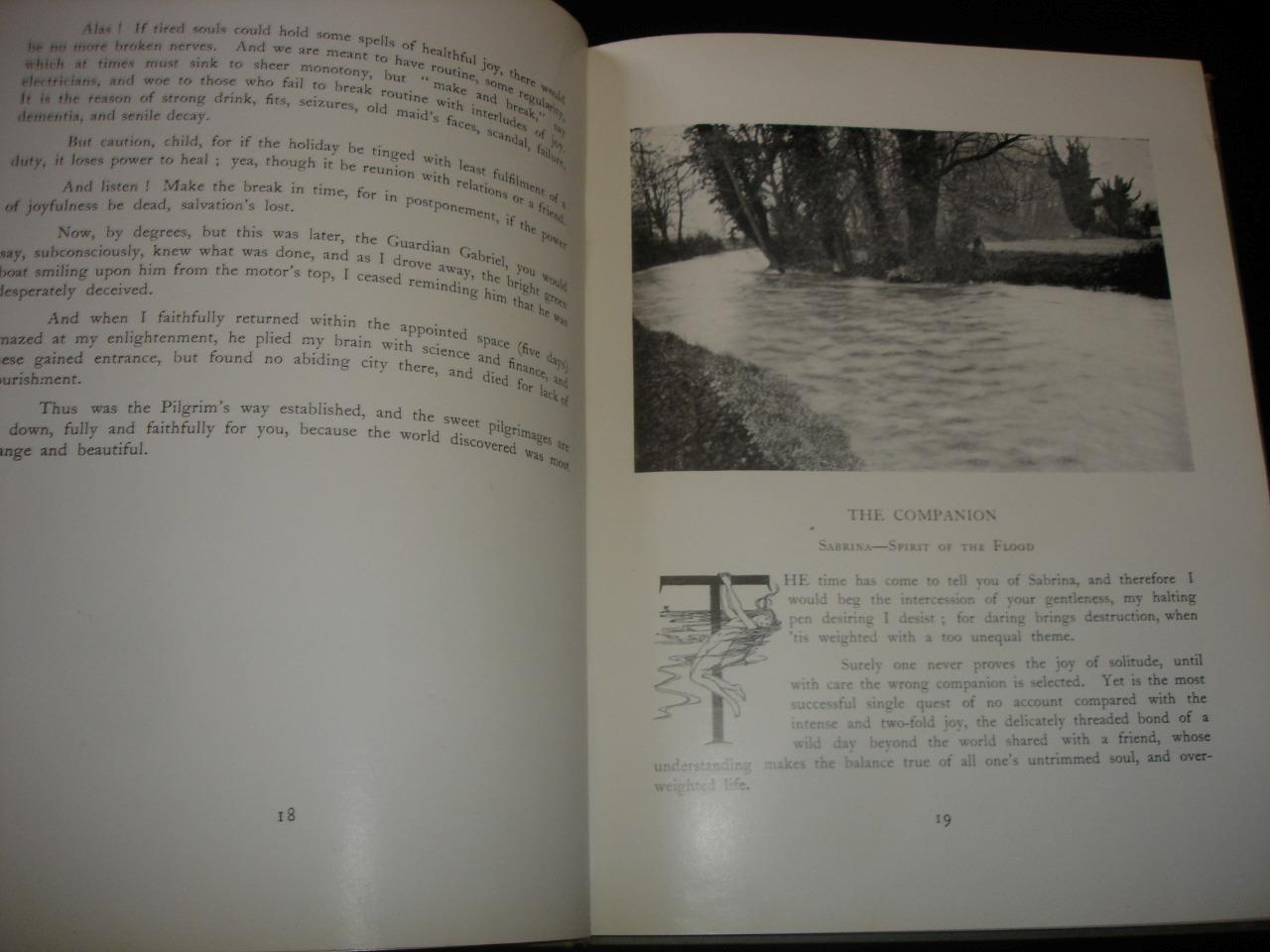 Picture 5 of 11
