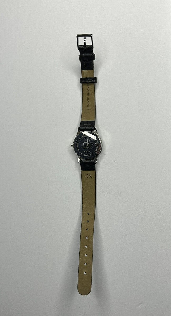 Calvin Klein K26231 Beautiful Numeral Black Dial Ladies CK Watch 