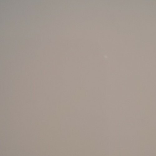 David Brown Tractor Orchid White Paint 1 Litre VLB5013 eBay