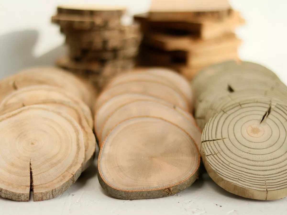 Wooden Slices Wood Log Coasters Discs SALE 2-23CM Round Rustic Wedding  Crafts