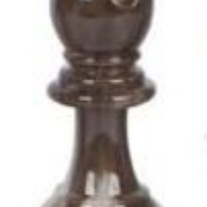 asymmetrical chess pieces Only for 587423,1pc,second-hand productsHTJ