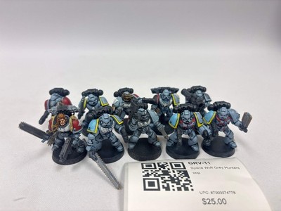 Space Wolf Grey Hunters oop GRV-11