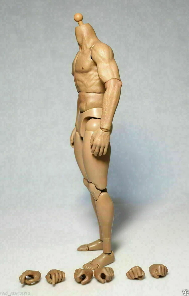 ZC Toys 12" Muscular Male Action Figure Body Fit 1/6 Scale Hot Toys Head Sculpt - Image 4 of 4