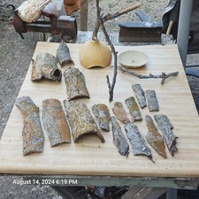 Terrarium Vivarium Decor Kit Reptile House, Waterdish  Habitat With Lichen