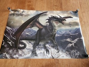 !!WOW!! Rogue Dragon 2007 Poster 34x22 Tom Wood Trends International #9007