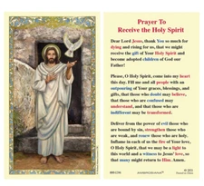 Laminated Prayer to Receive the Holy Spirit Holy Prayer Card Image of Jesus Dove