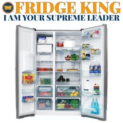 All parts Westinghouse WSE6970SA*2 fridge freezer