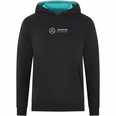 Official 2020 Mercedes-AMG F1 Team Lewis Hamilton Kids Hooded Sweatshirt Hoodie | eBay