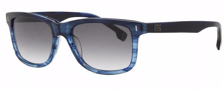 blue tortoise shell sunglasses