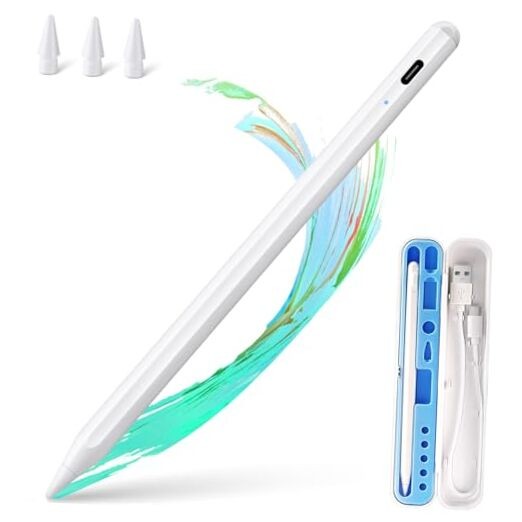 Stylus Pen for iPad Apple: Fast Charge for iPad Pencil Apple Pen with White