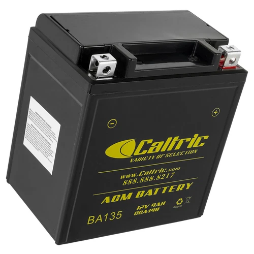 AGM Battery for Kawasaki Bayou 185 KLF185A 1985 1986 1987 1988 - Imagen 6 de 8