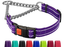 Martingale Dog Collar Reflective Purple w/ Stainless Chain Medium 14-17"