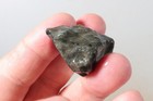 Mexico Velvet Obsidian Lapidary 1.5 oz. windowed three piece rough lot Aj5 — photo 10