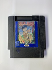 Secret Scout in the Temple of Demise NES  Nintendo Tested Working READ authentic